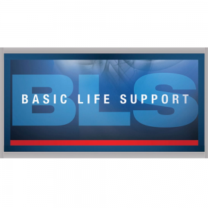 Basic life support (BLS) healthcare provider